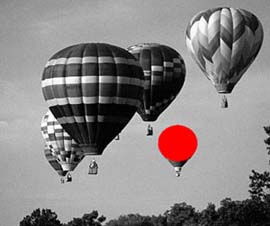 white and black balloons for transportation picture with one balloon in red